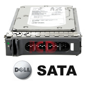 XRRVX Dell 900-GB 6G 10K 2.5 SED SAS w/G176J