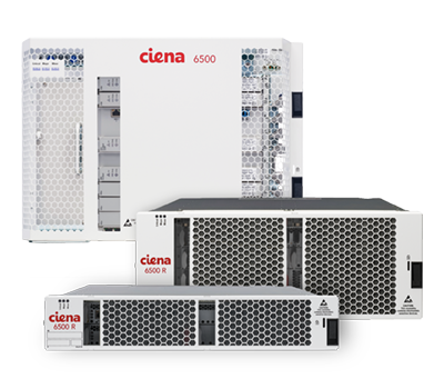 ciena module